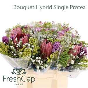 Bouquet Hybrid Single Protea