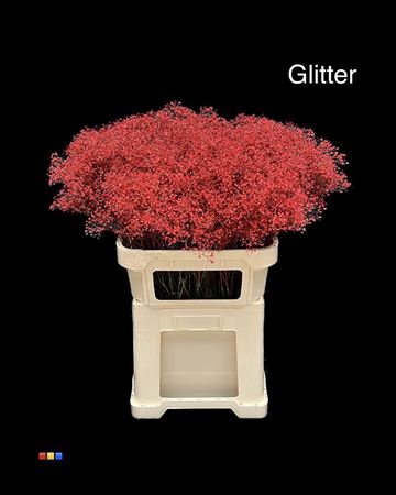 <h4>Gyps Million Star Red + Glit Bio</h4>