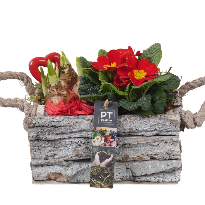 <h4>PTVO3623 Arrangement Valentine Outdoor in houten bak</h4>