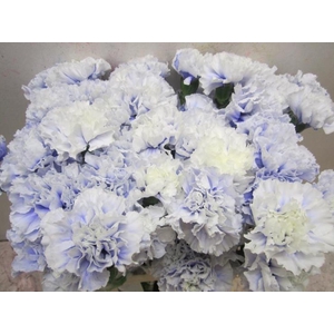 Di St G Pastel Lilac