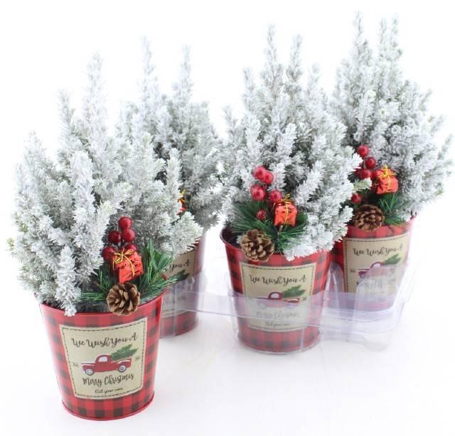 <h4>PICEA GL PERFECTA</h4>