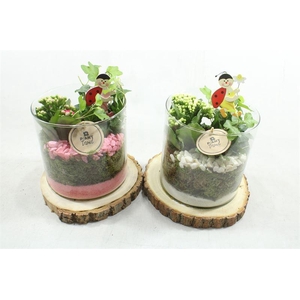 4747 CILINDER OP SCHORS IND