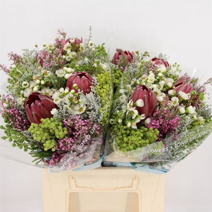 <h4>Bouquet 2 Protea With Chamelaucium</h4>