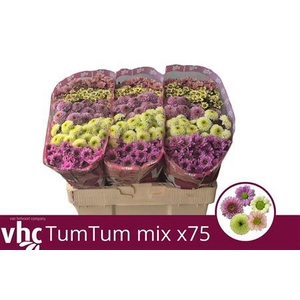 Chr S Mix Tumtum 900gr