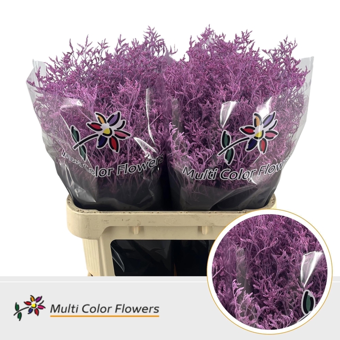 <h4>LIM OV KLB H%</h4>