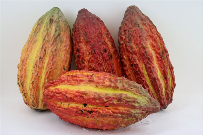 Cacao Pods Ass (mg)