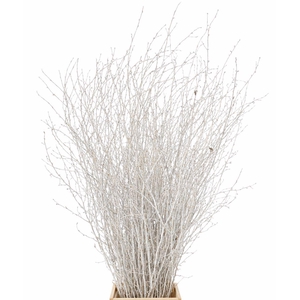 Berk 70cm Zilver Pbs