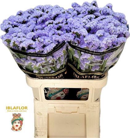 <h4>Limon Staties Light Milka</h4>