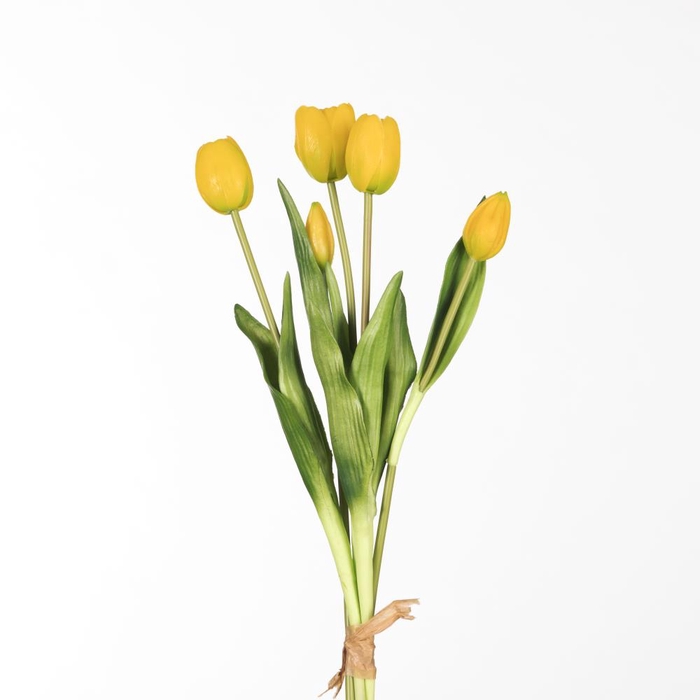 Af Tulip Bnd X5 L43cm Yellow