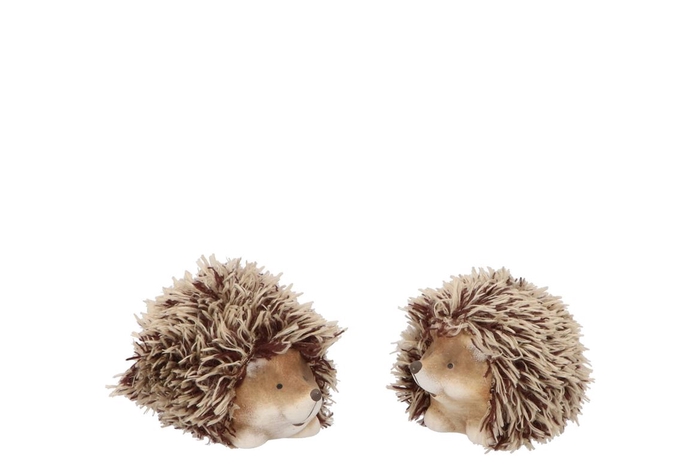 Hedgehog Wolly Duo Ass 10x6x6cm