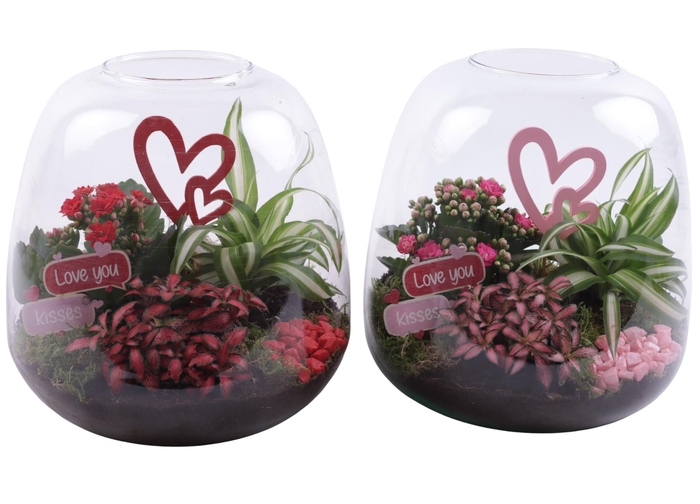 <h4>Valentine Arr. Indoor Glass Vase Terrarium Round Ø23cm 3PP</h4>