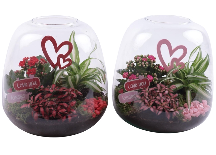<h4>Valentine Arr. Indoor Glass Vase Terrarium Round Ø23cm 3PP</h4>