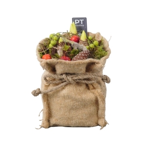 PTWH8406 Arrangement Winter Hyacint in jute zak