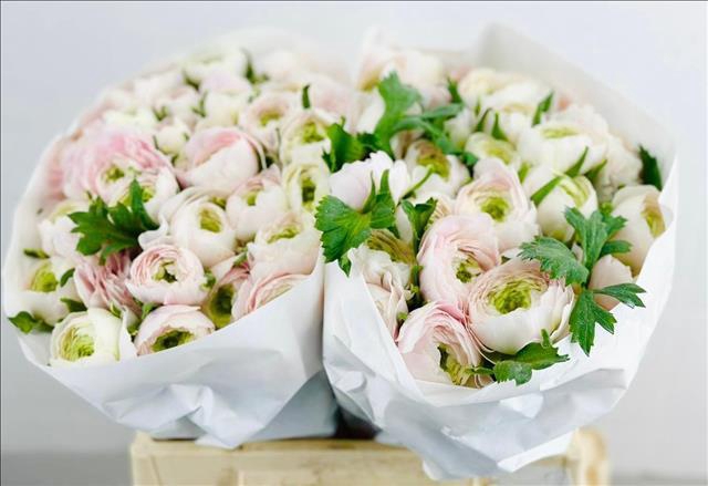 <h4>Ranunculus Clooney Hanoi</h4>
