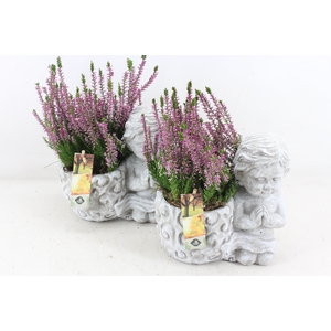 arr4 Outdoor JS - Cement engel biddend