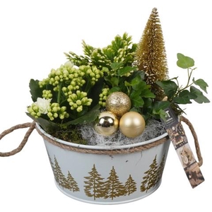 PTCHG5660 Arrangementen Kerst
