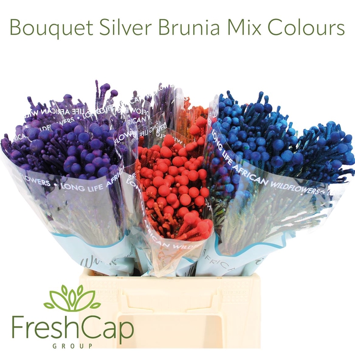 <h4>Bouquet Silver Brunia Mix Colours</h4>