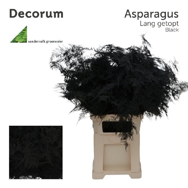 <h4>ASP OV KLB H%</h4>