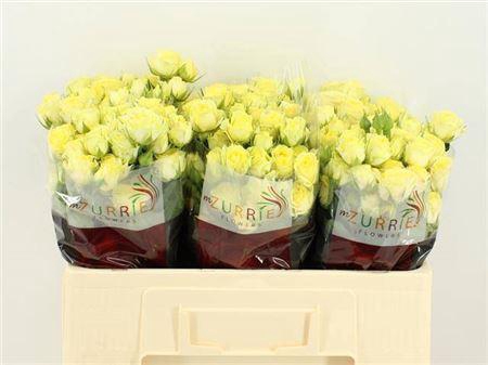 <h4>R Tr Wedding Invite</h4>