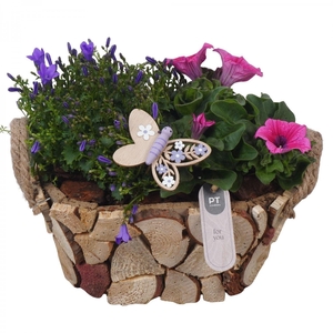 Arr.   Perkplanten L%