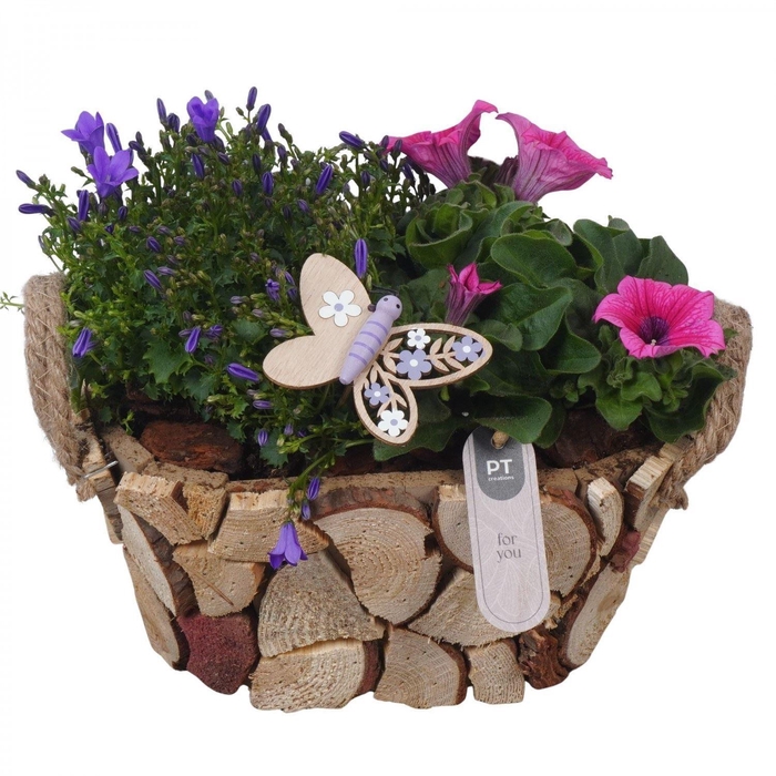 <h4>Arr.   Perkplanten L%</h4>