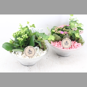 arr2 PL - Glas ribbel schaal x3 - roze/wit