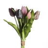 AF Tulip Bundle x7 L31cm Mix M