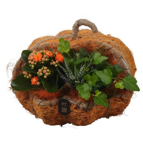 <h4>PTHI3324 Arrangement Autumn Indoor in rieten mand in pompoen vorm</h4>