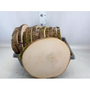 Hout   ...L%