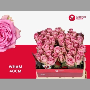 R GR WHAM