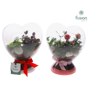 Green Bottle Glazen Hart met Arrangement