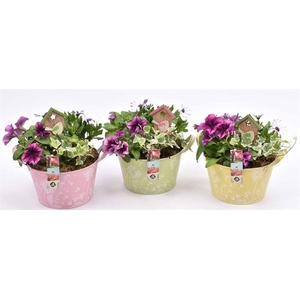 Zink teil bloemdecor kl.mix 18cm