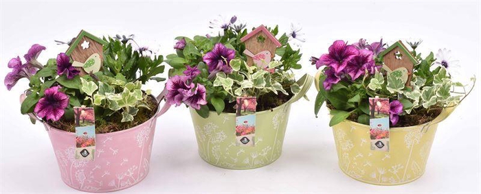 <h4>Zink teil bloemdecor kl.mix 18cm</h4>