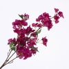 Bougainvillea Spray Fuchsia FL440279FSA
