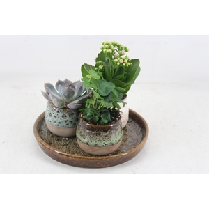 arr2 MB - Ker. luxe 3potjes mix indoor