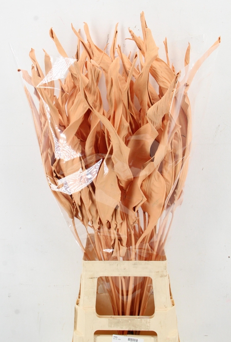 <h4>DROOGBL BEWERKT H%</h4>