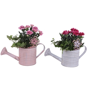 Spring Flower Arr. Outdoor Zinc Wateringcan Vintage Ø31cm 2PP