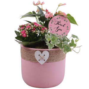 Mothersday Arr. Indoor Ceramic Pot Round Rope Heart Ø17cm 3PP