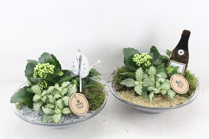 <h4>arr2 PL - Glas schaal 23cm - goud/zilver</h4>