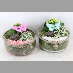 arr2 PL - Glas bose touw x3 - roze/wit