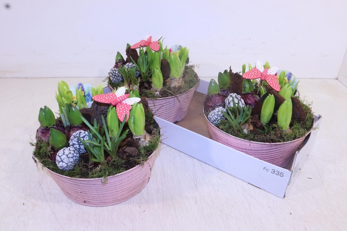 <h4>ARR BOL KNOLGEWAS</h4>