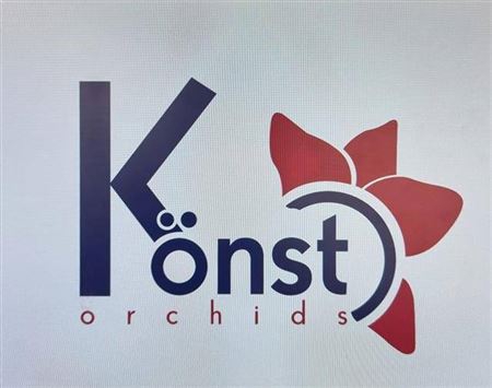 Phal 2 Tak Kort