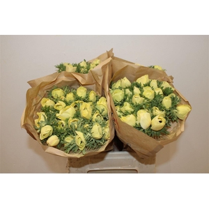 Anem Marianne Powder Yellow