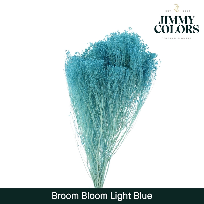 <h4>Broom Bloom Light Blue</h4>