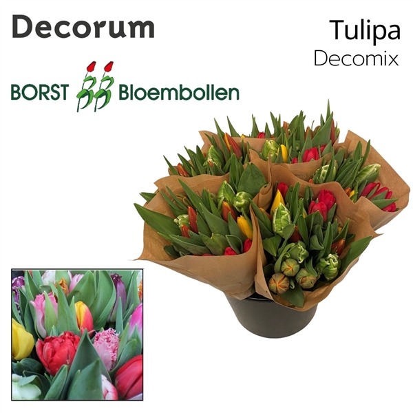 TU EN DECORUM MIX