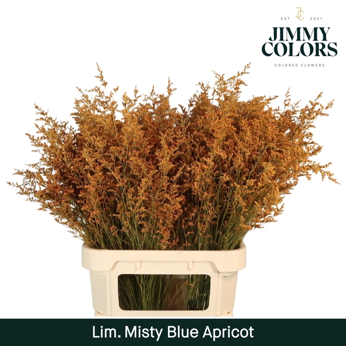 <h4>Lim Misty Blue L90 Apricot</h4>