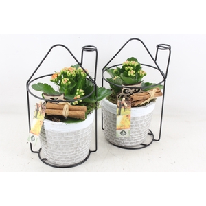 arr2 JS - Ker. potje met huis frame