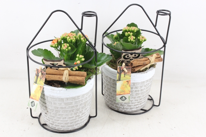 <h4>arr2 JS - Ker. potje met huis frame</h4>