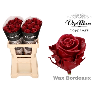 R GR WAX BORDEAUX (60 cm)