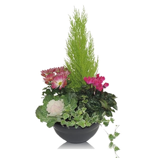 <h4>Arrangement in Bowl 27 cm</h4>